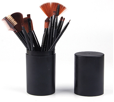 12 Piece Makeup Brushes Set