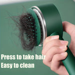 Anti-Static Airbag Massage One-key Self-cleaning Curly Hair Brush