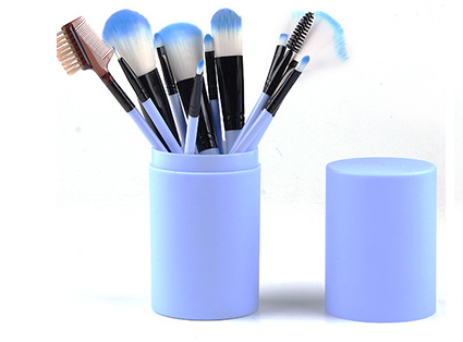 12 Piece Makeup Brushes Set
